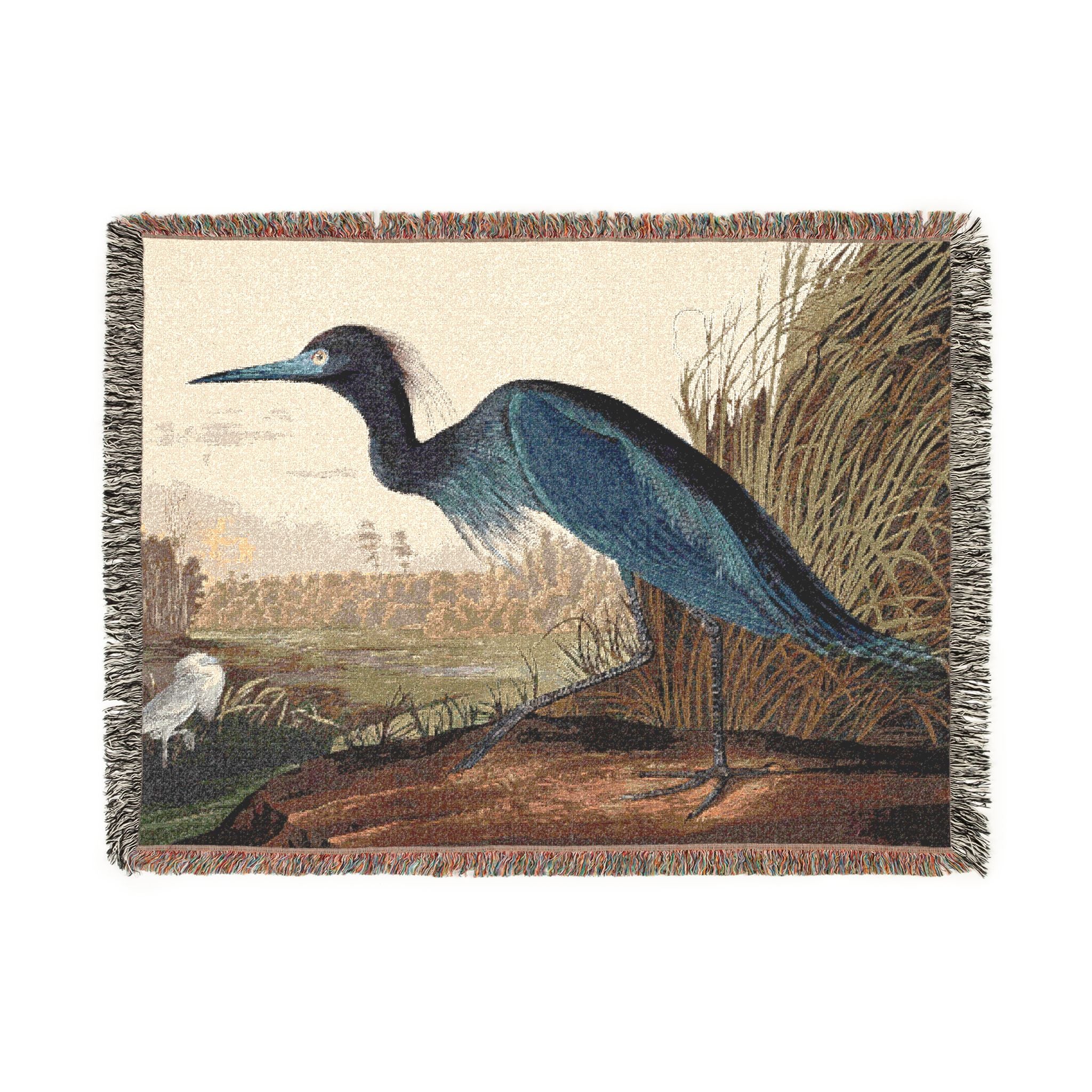 blue heron staredown